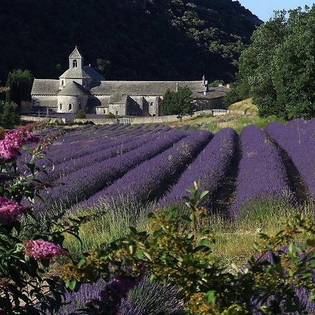La Calvinette Villa Pernes-les-Fontaines Luaran gambar