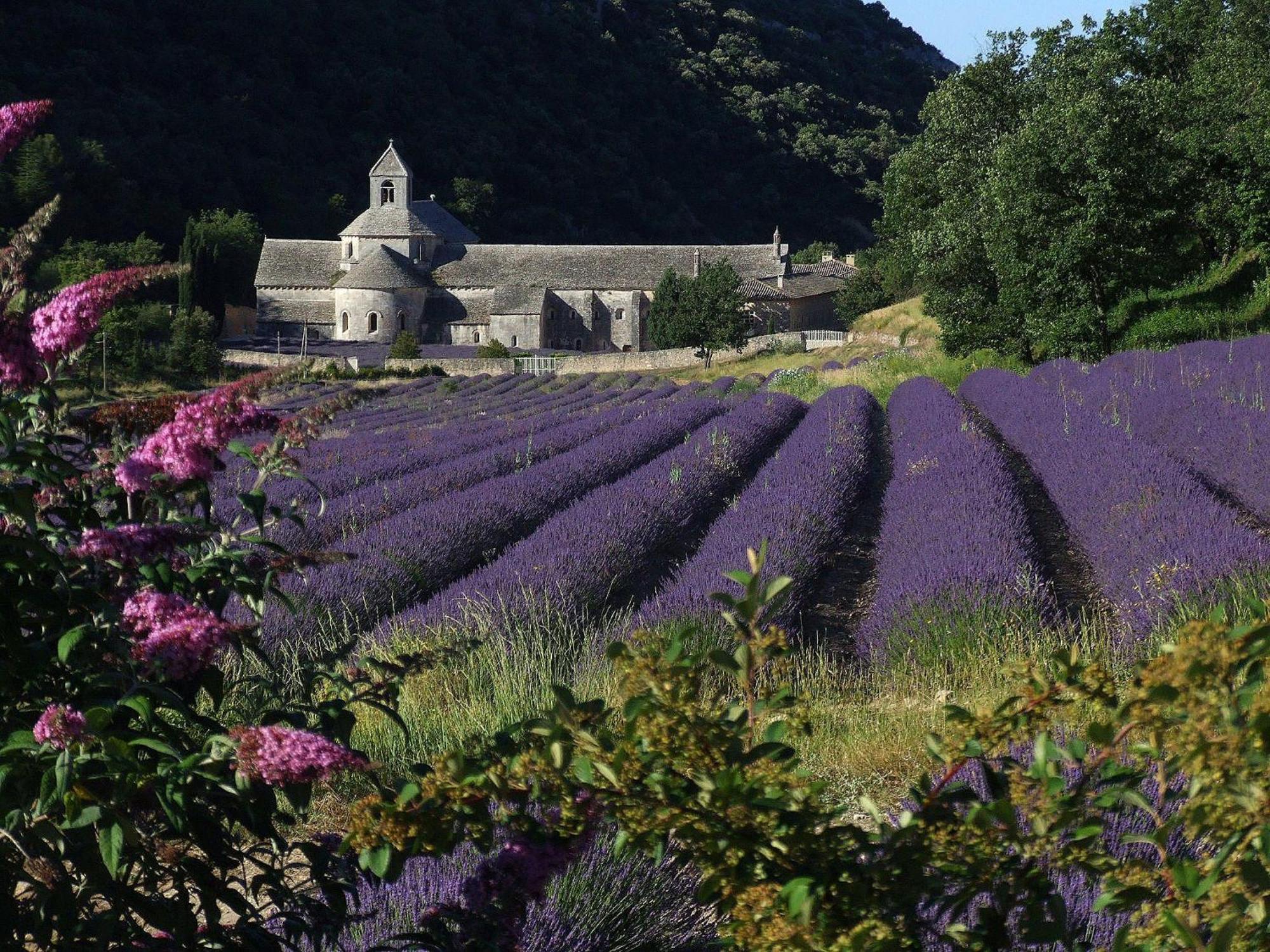 La Calvinette Villa Pernes-les-Fontaines Luaran gambar